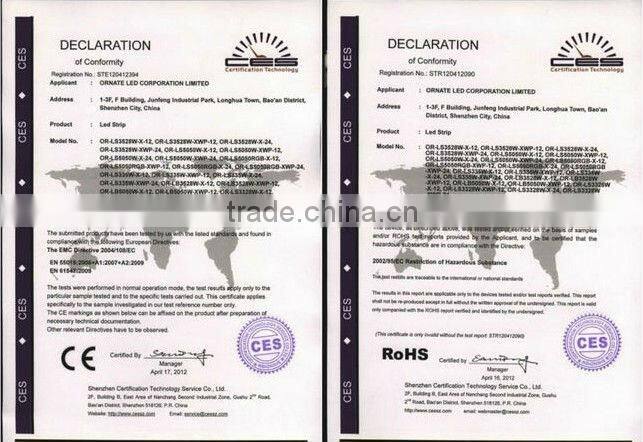 High bright led strip outdoor building lighting 110v rgb led strip5050