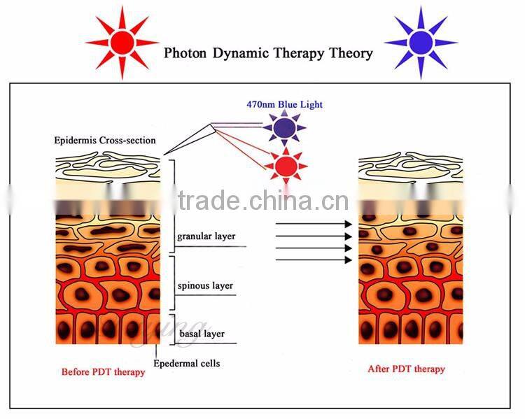 7 lights led pdt led infrared light facial machine PDT beauty salon machine
