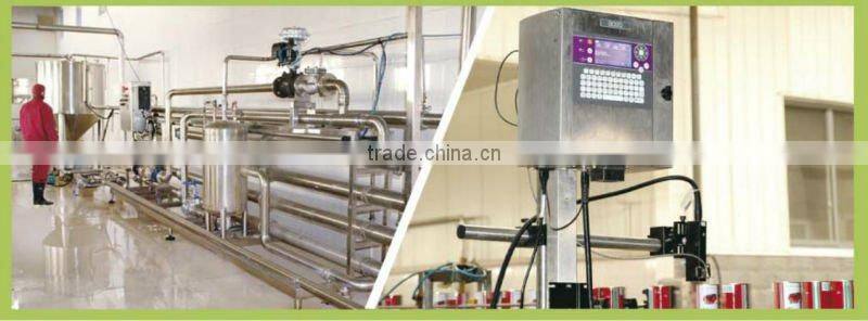 70 g sachet tomato paste in box and in carton