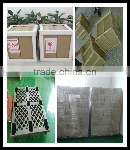 Promotional custom shape acrylic award plaque