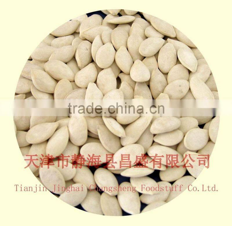 Chinese plumpness roasted and salted pumpkin seeds
