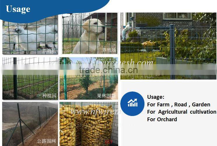 Africa popular pvc coated welded wire fence/cheap wire fence (Guangzhou Factory)