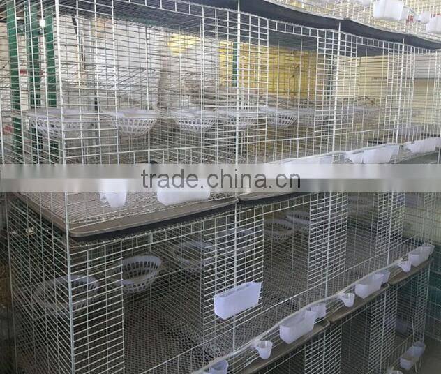 Breeding Pigeon Cage Factory Sale
