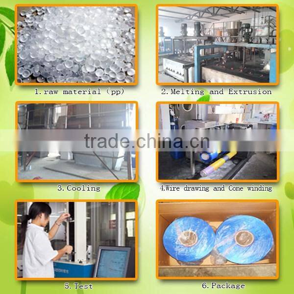 High Tenacity 900D Pp Multifilament Yarn Intermingled for Tape