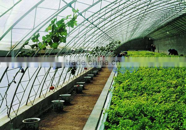Tunnel Plastic Film Greenhouse