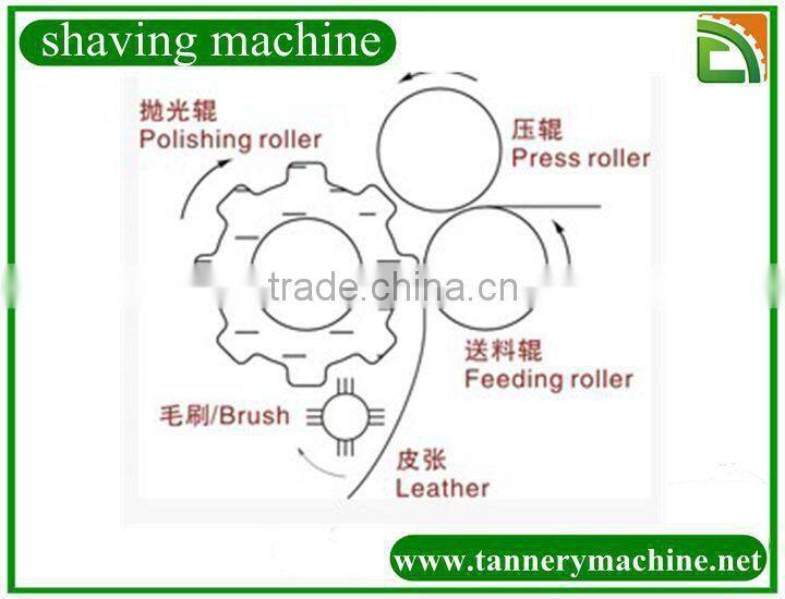 leather polishing machine