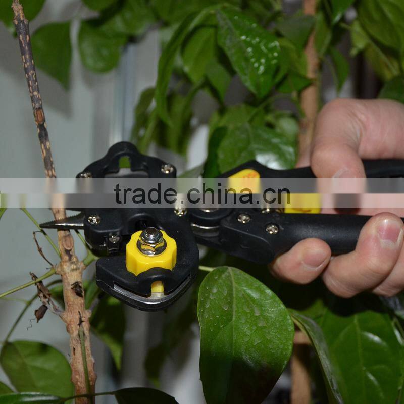 The Persian grafting shears