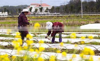 China manufacture hot sell low price black seedling tray wholesale