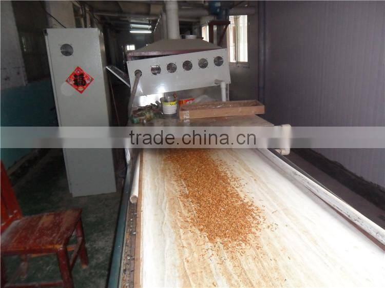 poultry feed additive high protein mealworm