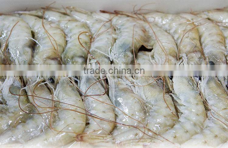 HL002 frozen seafood frozen shrimp exports