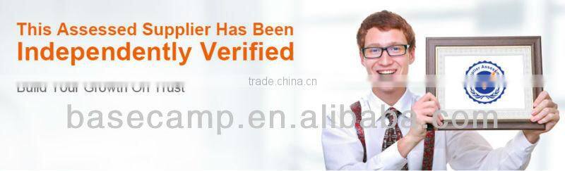 Arctic Duckdown Mummy Sleeping Bag