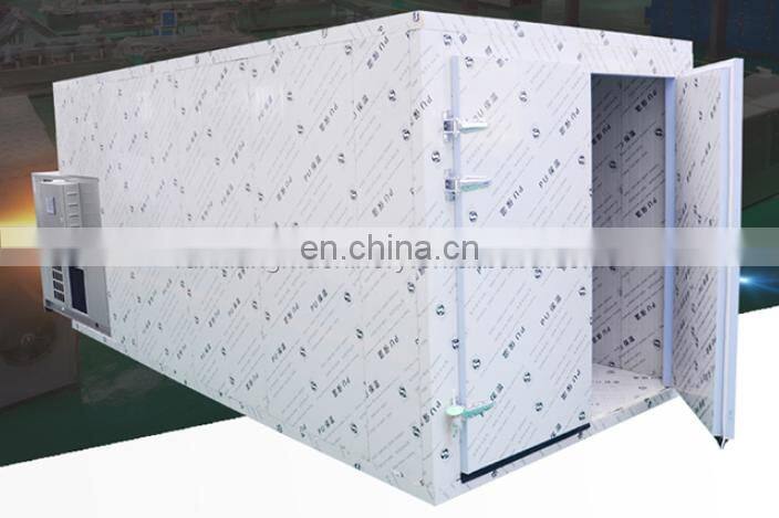 Fruit dry oven/small fruit drying machine/industrial fruit tray dryer