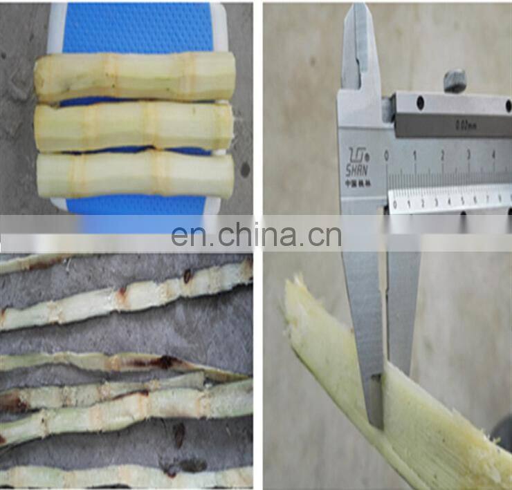 Automatic sugarcane peeling and processing machine and skiving machine