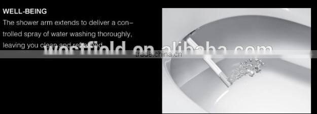 Factory Bathroom Auto-cleaning Toilet Bidet &Shattaf Toilet Bidet