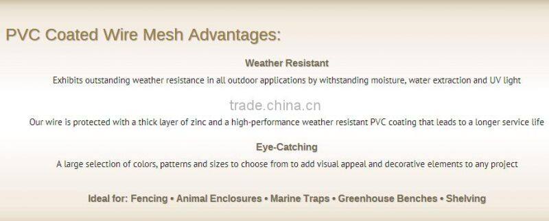 Hebei Shuolong supply 0.9mx30m 19 Gauge Green PVC coated welded wire mesh roll for UK Supermarket