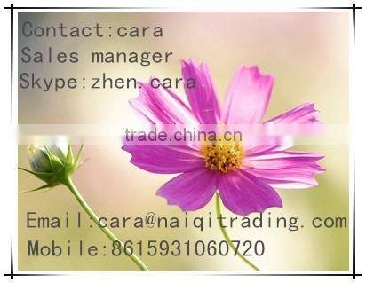 battery e rickshaw for india