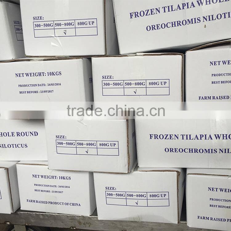Frozen Tilapia Fish Factory, Black Tilapia Whole Round 100-200g, 200-300g,300-500g,500-800g