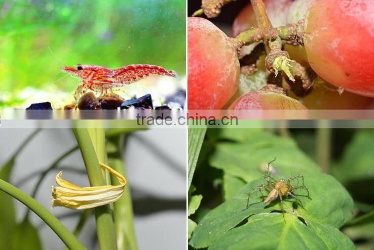 Best Gift Universal Magnetic 0.67X Wide Angle lenses Macro lenses camera lenses