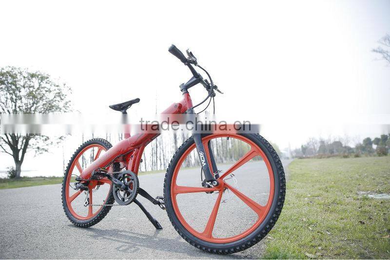 Haoling Seagull - electric bike motor mid drive, electric motor bike