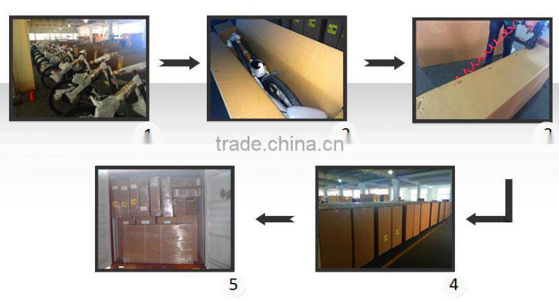 Seagull aluminum e-bike battery case