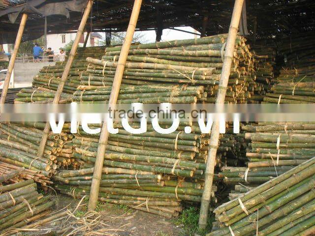 Bamboo curtain pole competitive price and big quantity