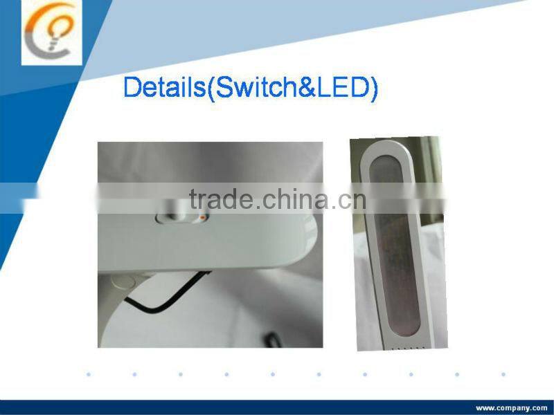 Shenzhen Factory 2013 LED Giraffe Lamp