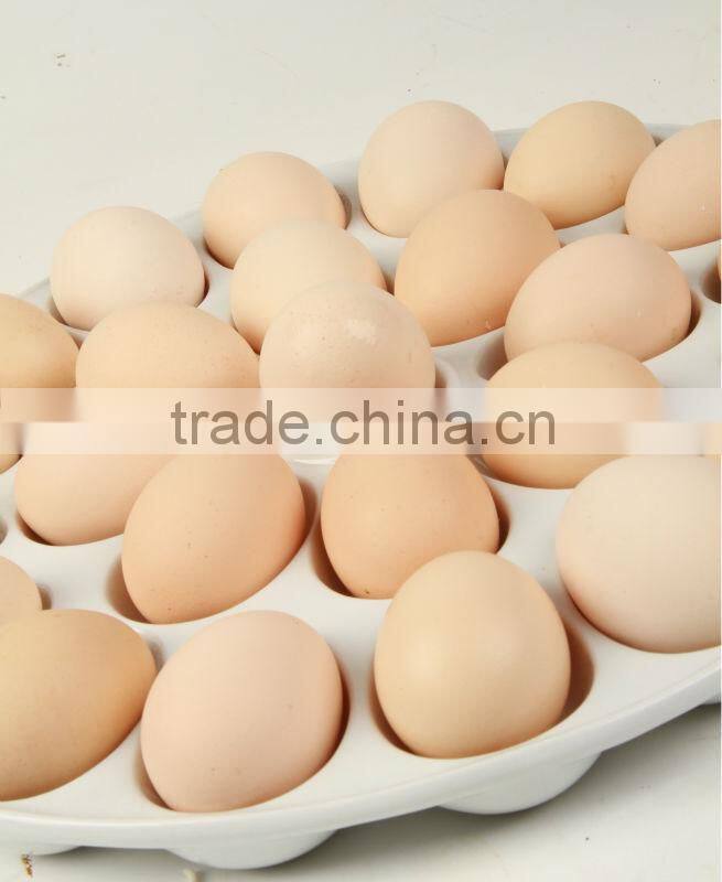 Ceramic Egg Holder Plate