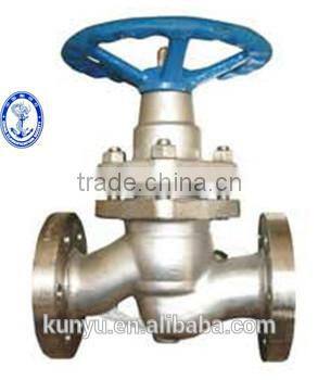 plunger valve dn80