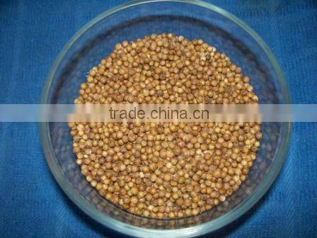Coriander seeds