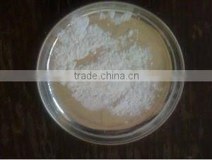 High Quality Creamy Color Bag Packed Tapioca for Sale