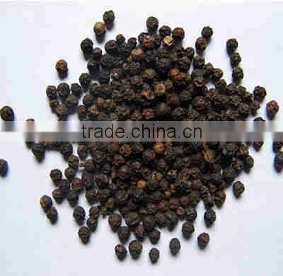 GMP Manufacturer Supply Natural Black Pepper Extract Powder