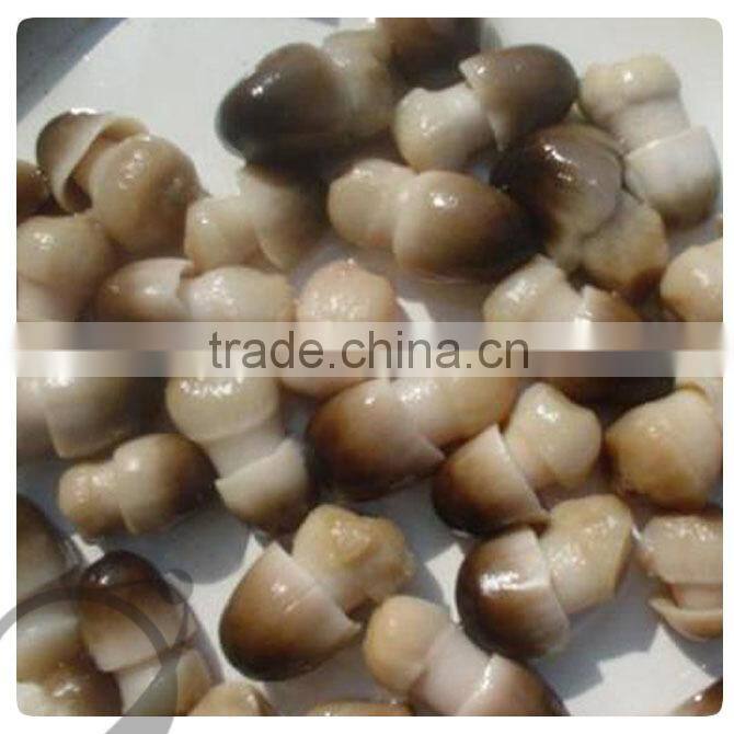 Fresh champignon of canned straw mushroom in tins