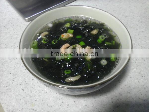 Laminaria nori seaweed,roasted seaweed snack,sea moss,food grade