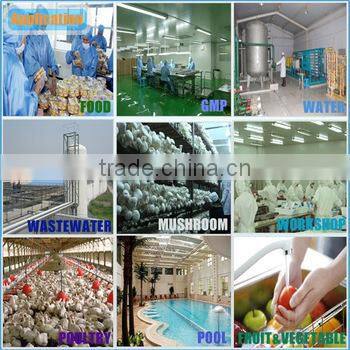 BEST efficiency CE certified OEM ozone air purifier gas odor removal