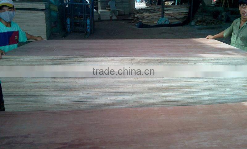 Bintangore Plywood for Malaysia Market