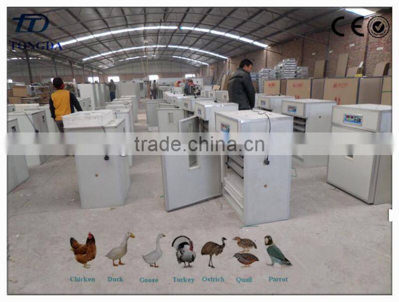 plastic chicken glasses