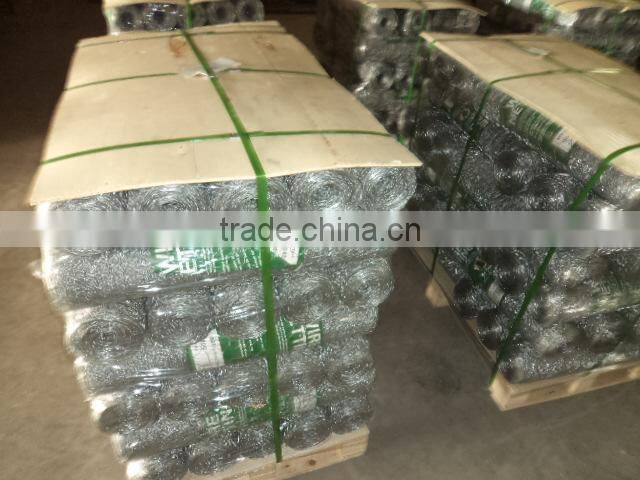 small type galvanized hexagonal wire netting/chicken wire mesh