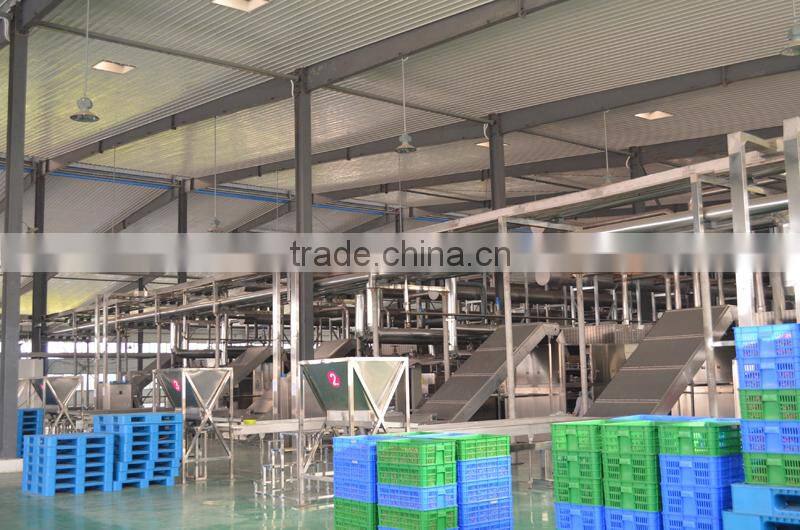 Rose Bud Hot Air Assistated Microwave Drying Machine