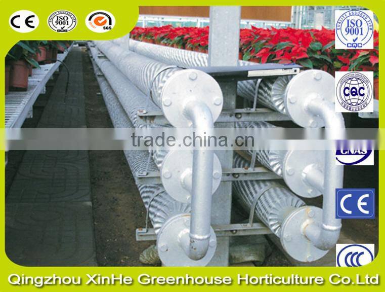 Glass sunlight greenhouse for vegetables