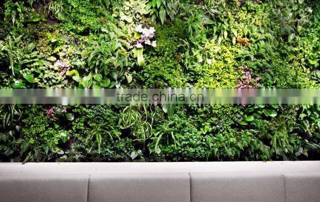 factory price high quality indoor artificial grass/fake plant wall for decoration