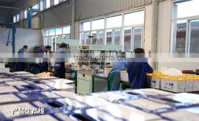 dry-charged storage battery