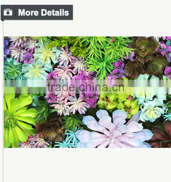 High quality artificial vertical garden plants wall with sucullents