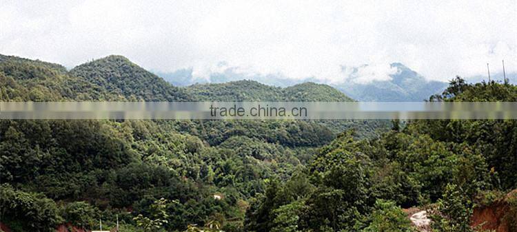Chinese Yunnan Quick Slim Puerh Raw Tea, Pu'Er Cha, Puer/Pu Er Tea Cake