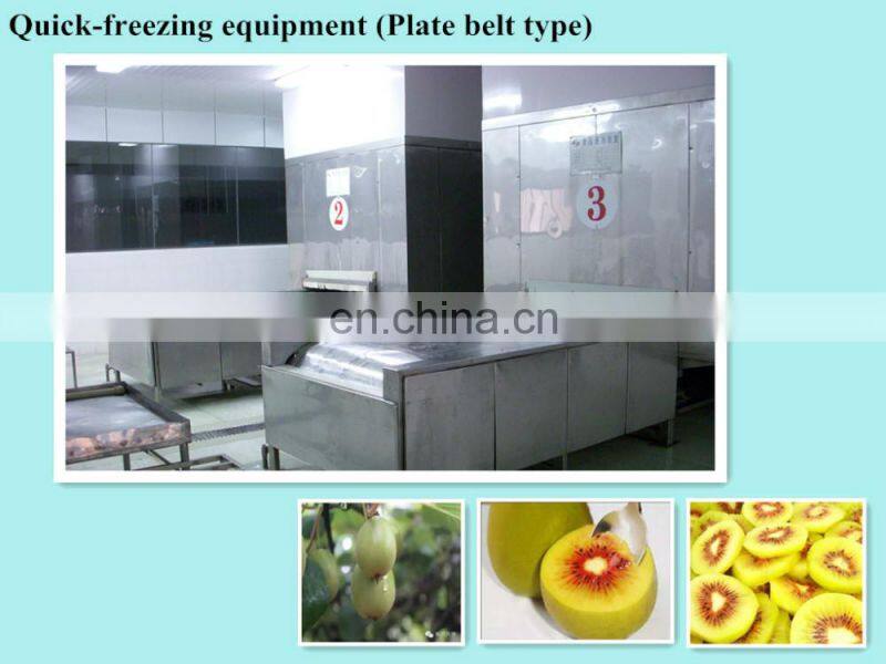 Best selling IQF Belt quick freezer