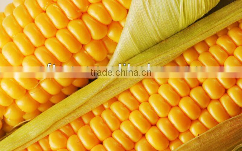 710 Variety 340g Canned Sweet Corn