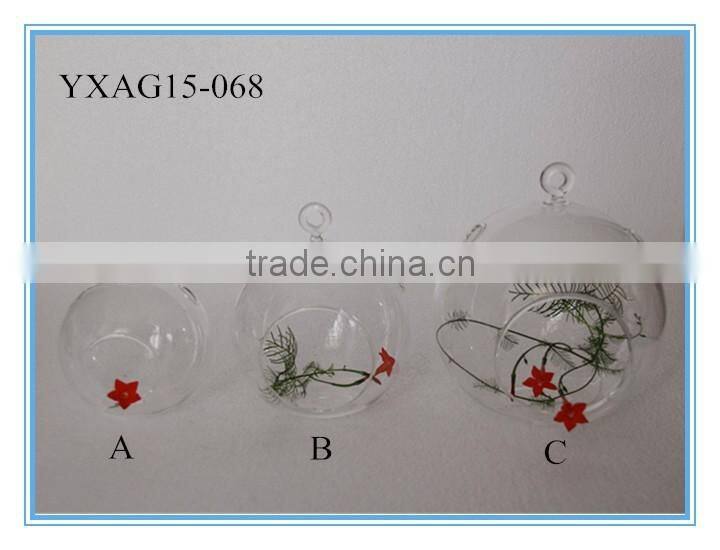 Home decor ball shape hanging glass vase