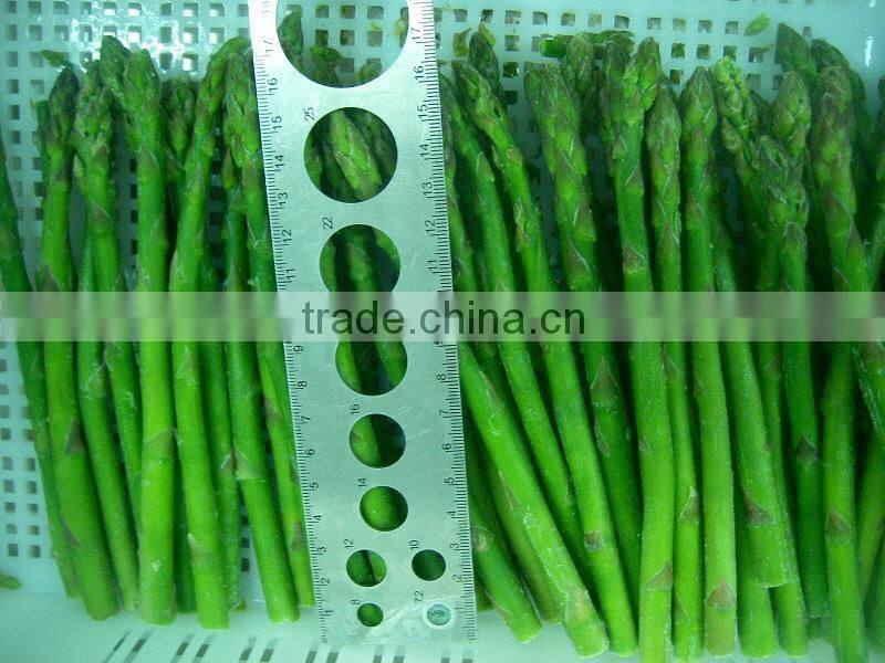 IQF Asparagus