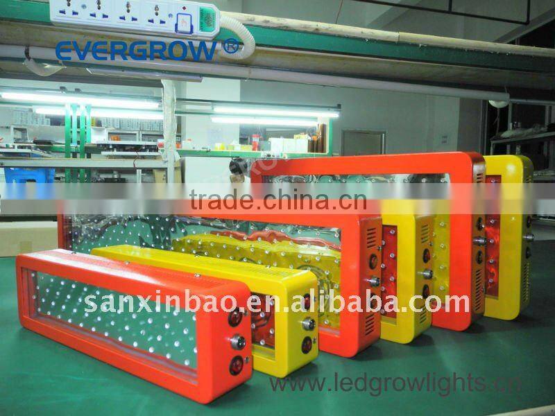 EverGrow 200W test approved led grow light fixtures EG-100*3W-GP3-SXB