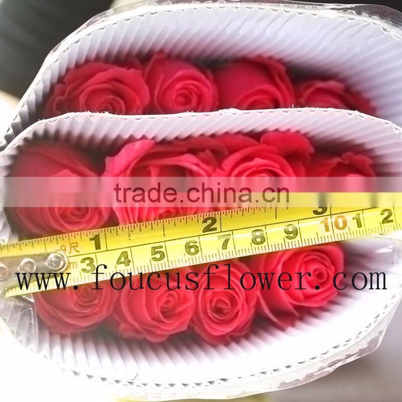 Many Types Best Selling Fresh Cut Flowers Pink Roses Beekeeping Flower From Yunnan, China
