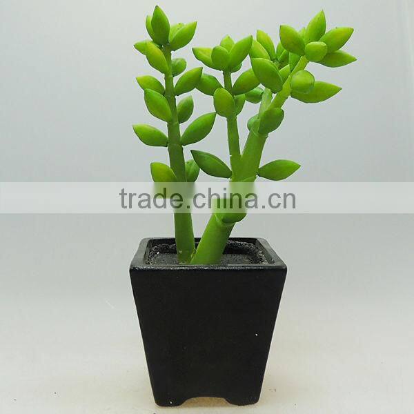 New style ceramic vase decorating plants